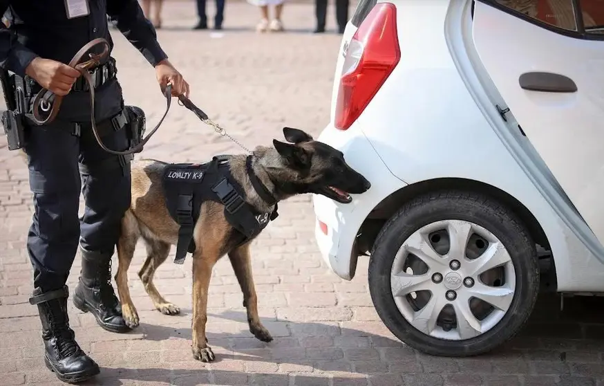 Ares, uno de los dos agentes caninos jubilados por Seguridad Pública de León