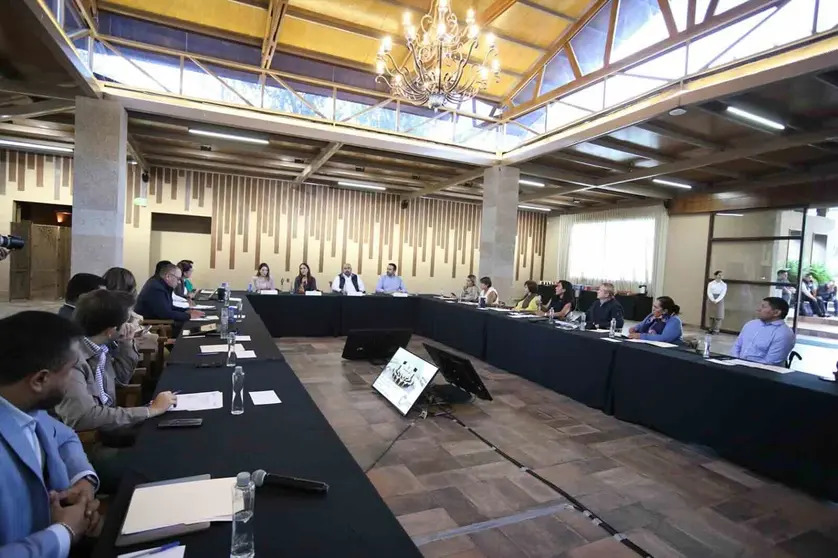 Reunioìn Plenaria GPPAN