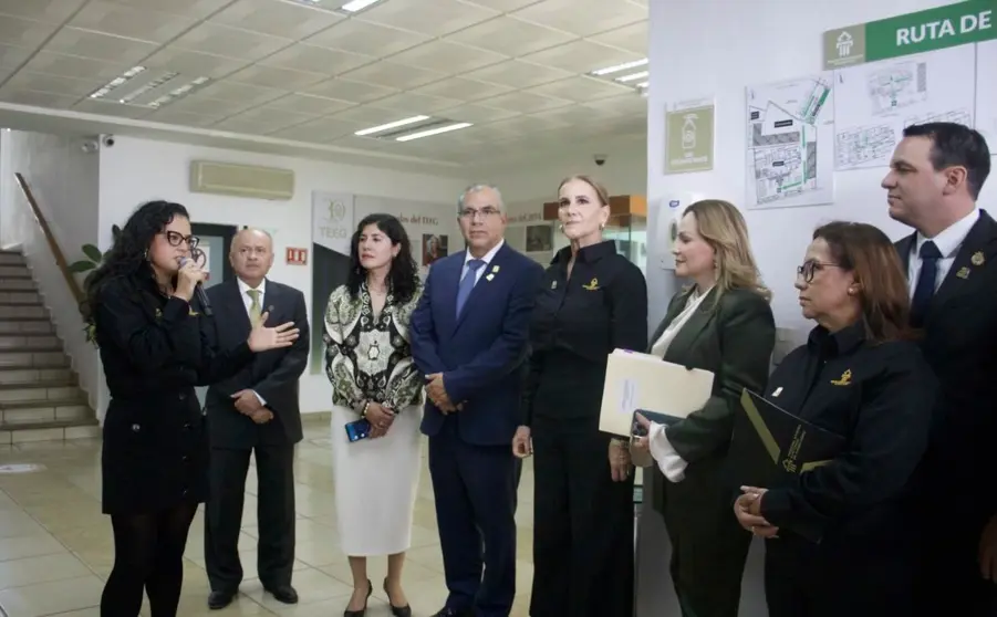 Tribunal Estatal Electoral de Guanajuato