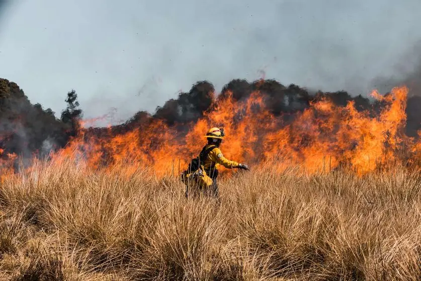 Protección Civil promueve la prevención de incendios forestales