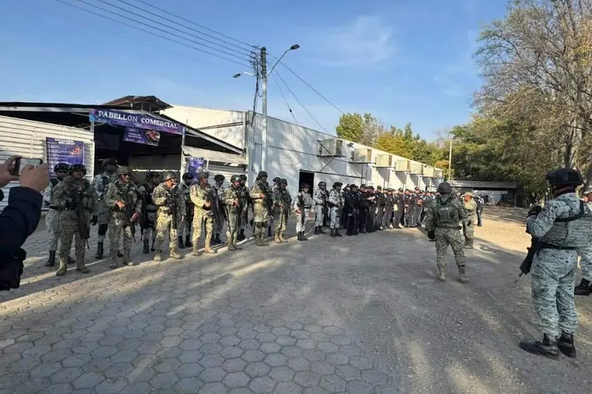 células mixtas de seguridad polis fspe ejercito militar