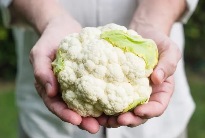 coliflor