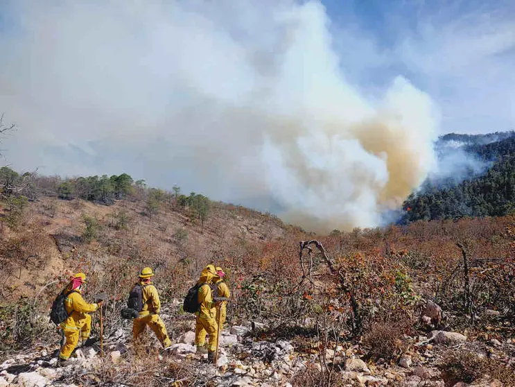 Brigada Forestal de Guanajuato, guardián que combate el fuego y protege la biodiversidad (1)