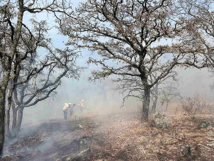 Liquidan incendio en sierra de Los Agustinos