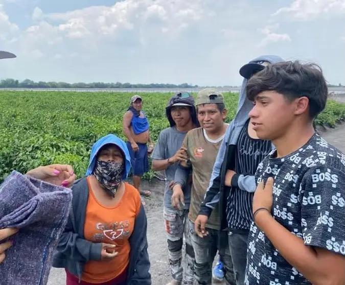 jornaleros