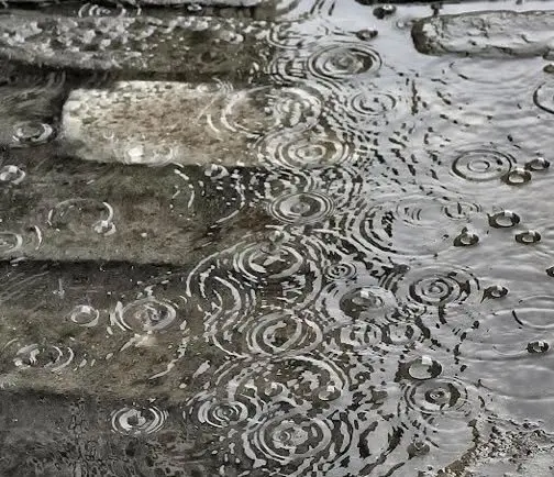 M&aacute;s lluvia para Gto