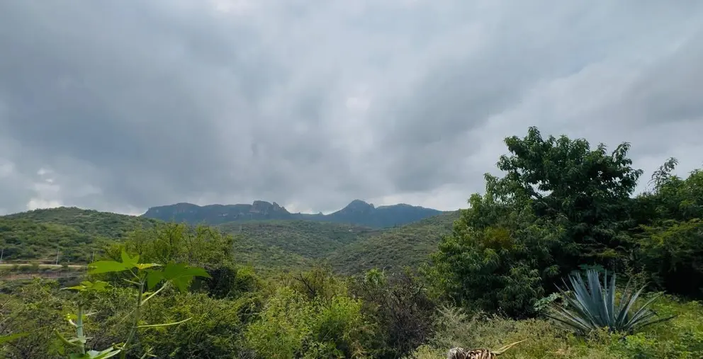 Lluvias