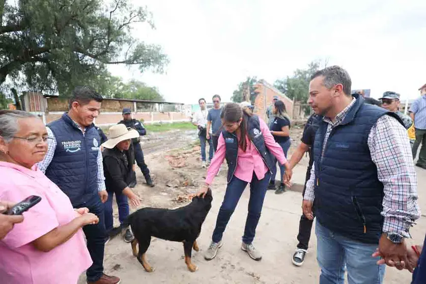 Protecci&oacute;n y Bienestar Animal