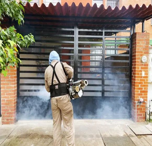 Personal de las jurisdicciones sanitarias refuerza las brigadas de control vectorial en los municipios para mantener la tendencia a la baja en los casos de dengue.