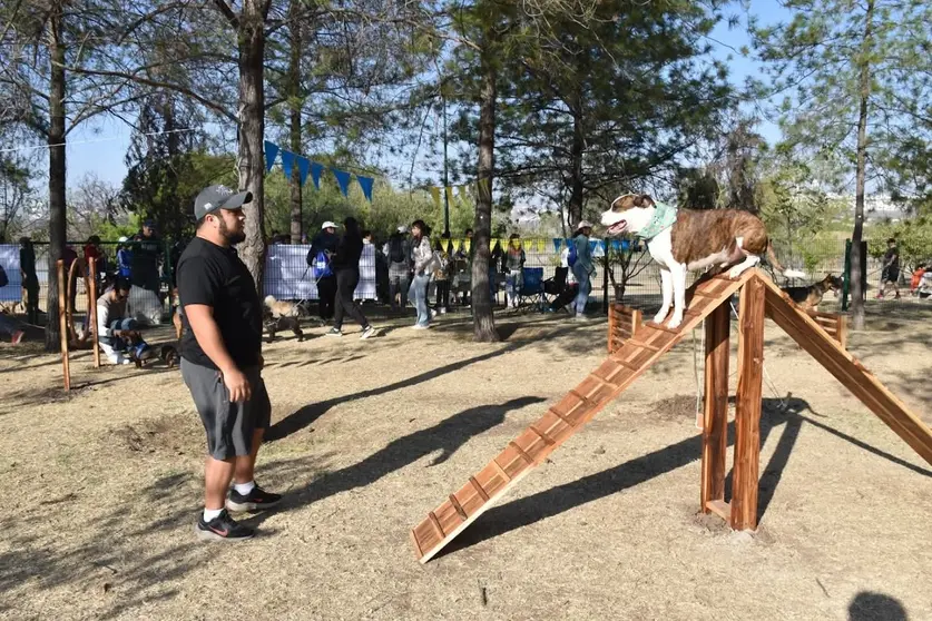 Familias leonesas y sus mascotas estrenaron los nuevos m&oacute;dulos de ejercicio en la zona sin correa del Parque Metropolitano.