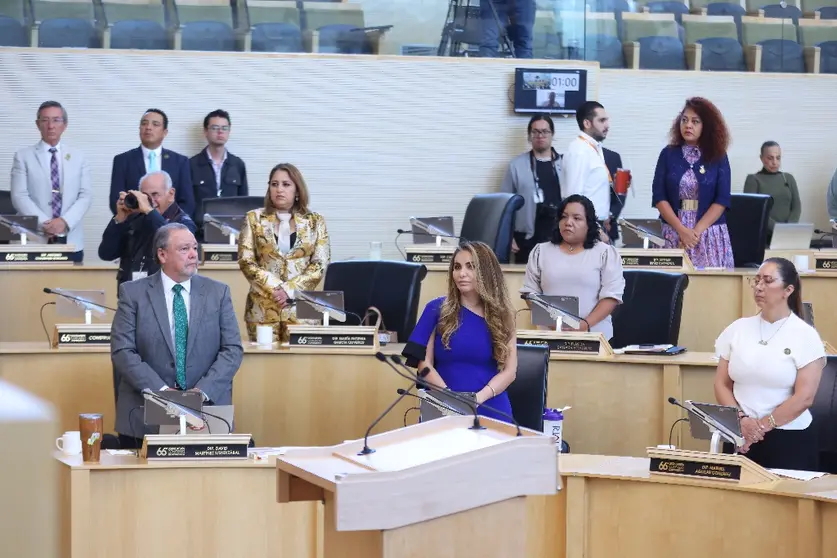 El Congreso del Estado solicit&oacute; un cronograma claro para la conclusi&oacute;n de los hornos de bajas emisiones en Le&oacute;n.