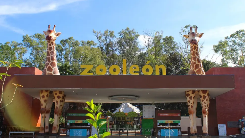 Con una inversi&oacute;n superior a los 204 millones de pesos, el recinto ha modernizado sus albergues para garantizar espacios m&aacute;s dignos y seguros para los animales.
