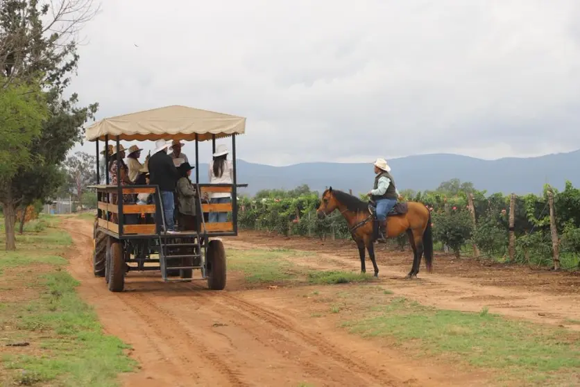 Mundo Vino