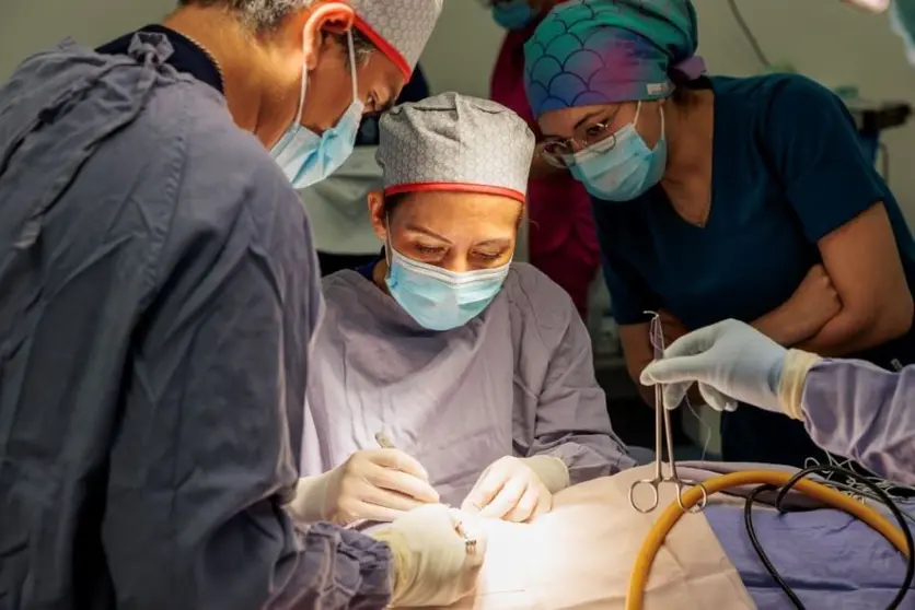 Reciben implantes cocleares auditivos 283 pacientes en Guanajuato