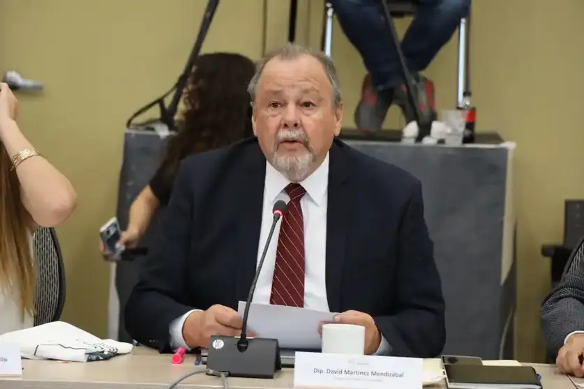 David Mart&iacute;nez Mendiz&aacute;bal