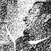 Francisco Rangel