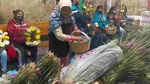 El xotol o chimal es planta sagrada no medicinal. Aqu&iacute; vener&aacute;ndola para 'labrar' el xuchil de la Virgen de Guadalupe, en El Guadalupe, Tierra Blanca, Gto. Nana Carmen le coloca la flor