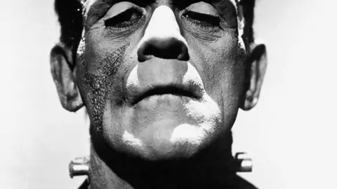 Frankenstein's monster (Boris Karloff)