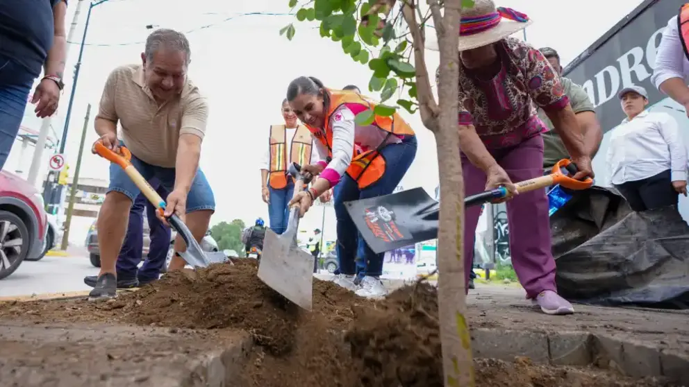 D&iacute;a Mundial del &Aacute;rbol