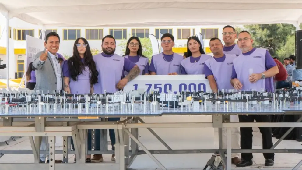Guanajuato permanece entre los estados del pa&iacute;s que m&aacute;s empleo generan