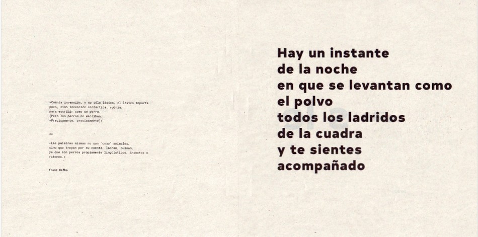 anarquitectura 4