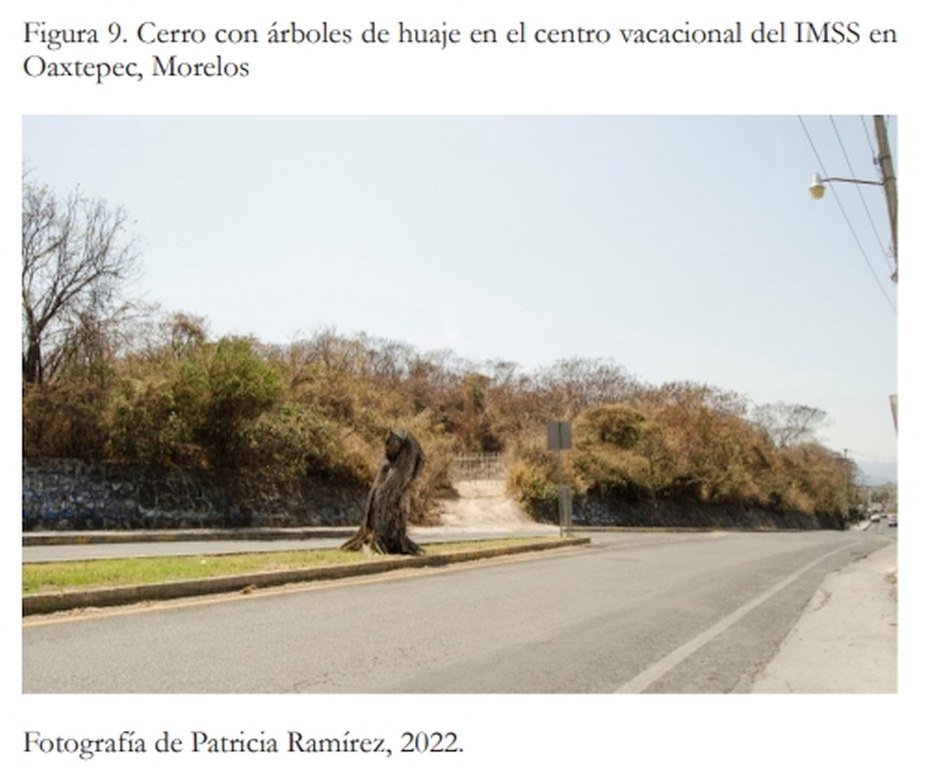 imagen 9