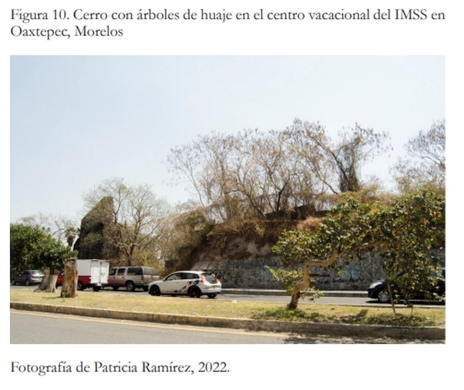 imagen 10
