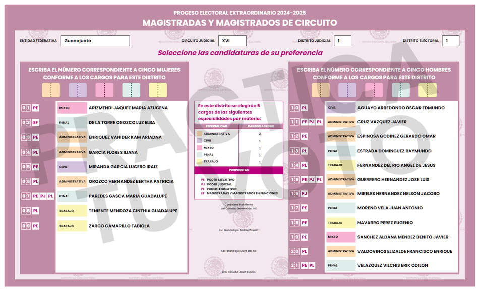 Boleta Distrito 1, Magistrados de Circuito
