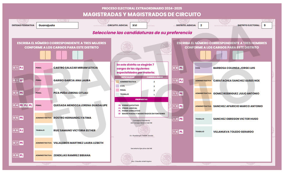 Boleta Distrito 2, Magistrados de Circuito